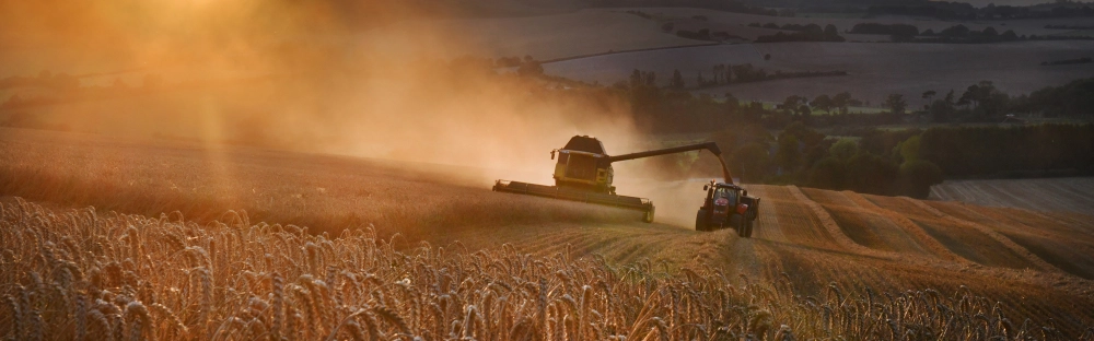 3cb31d6d5390-Nyhet-4-oktober-2021.jpg.webp 3cb31d6d5390-Nyhet-4-oktober-2021.jpg.webp