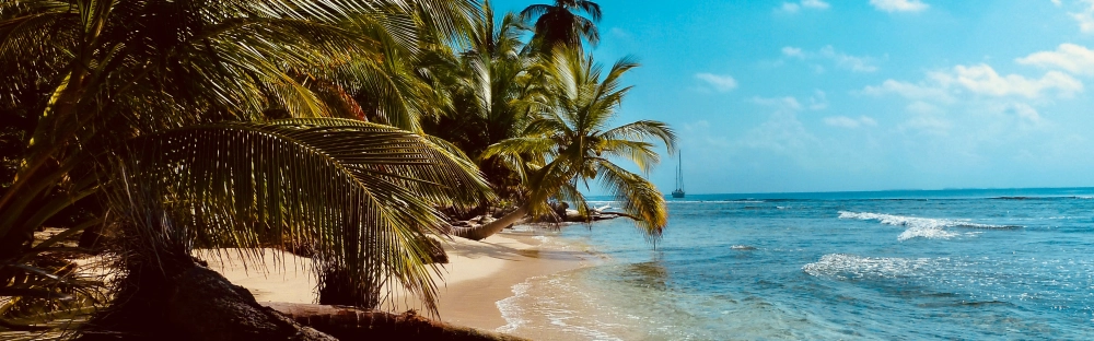 fadb21ef8476-Nyhet-5-december-2021.jpg.webp fadb21ef8476-Nyhet-5-december-2021.jpg.webp