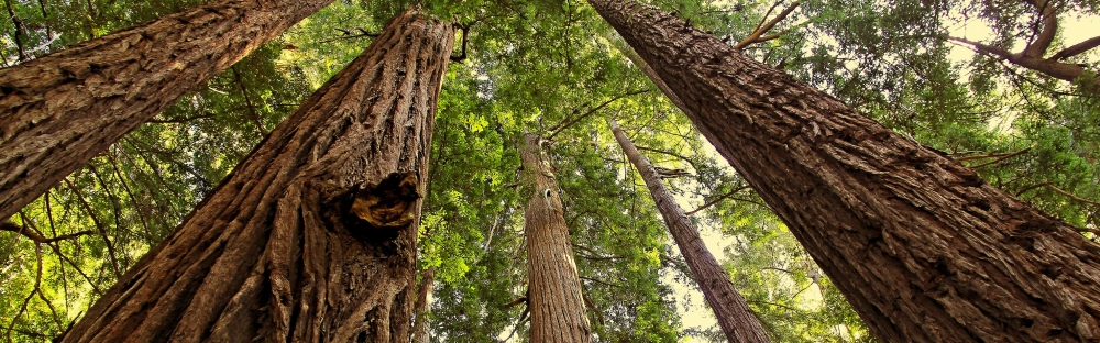 1e5a62901c51-Nyhet-7-december-2021.jpg.webp 1e5a62901c51-Nyhet-7-december-2021.jpg.webp