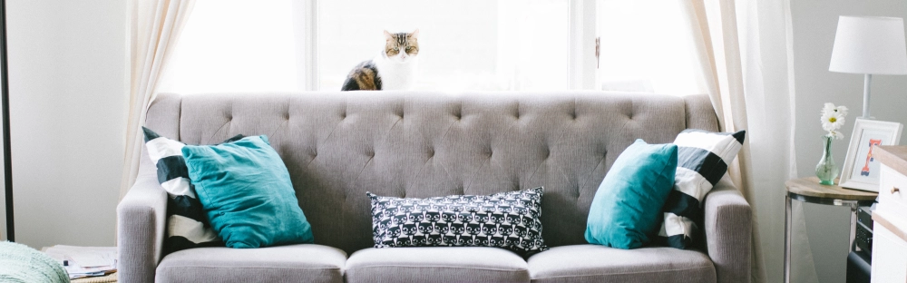 3e7b92325417-Nyhet-2_Januari2020.jpg.webp 3e7b92325417-Nyhet-2_Januari2020.jpg.webp