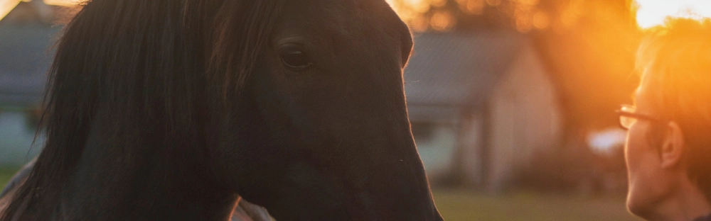 df2f679a297f-Nyhet-2_Nov_Dec2019.jpg.webp df2f679a297f-Nyhet-2_Nov_Dec2019.jpg.webp