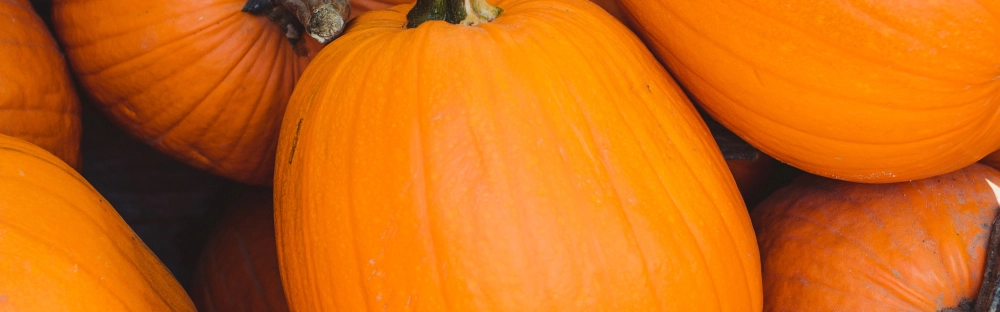 c96e95381de7-Nyhetsbrev-oktober-19-nyhet-3.jpg.webp c96e95381de7-Nyhetsbrev-oktober-19-nyhet-3.jpg.webp