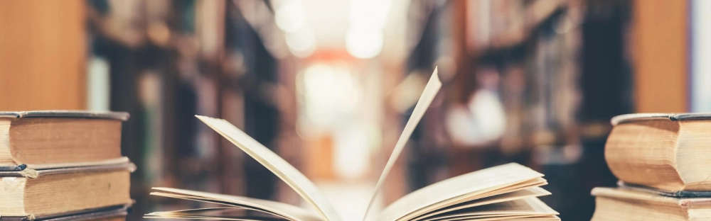 29ab28f878fd-FAS-Laos-Education-Sector.png.webp 29ab28f878fd-FAS-Laos-Education-Sector.png.webp