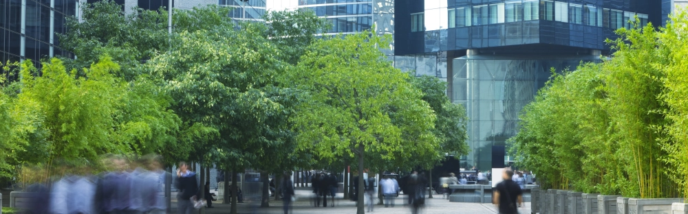 12706442b063-BS_sustainability_editorial.jpg.webp 12706442b063-BS_sustainability_editorial.jpg.webp