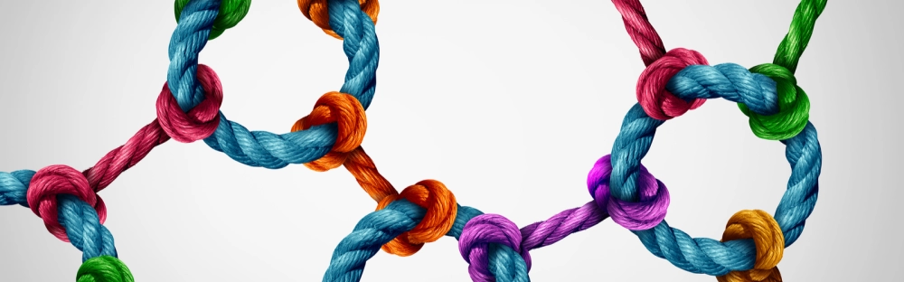 2c5b6a26614f-shutterstock_453111538.jpg.jpg.webp 2c5b6a26614f-shutterstock_453111538.jpg.jpg.webp