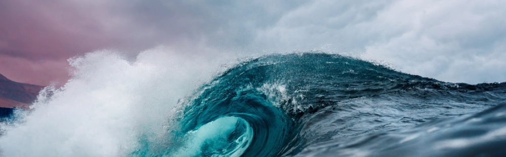 7ecfbf09f85b-banner-KAM-1600x500.png.webp 7ecfbf09f85b-banner-KAM-1600x500.png.webp