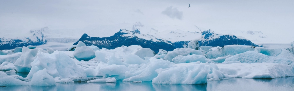 fd6b0a661efd-Water-risk-study.png.webp fd6b0a661efd-Water-risk-study.png.webp