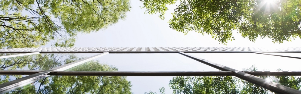 9bfb6b88c4f3-A-year-like-no-other-201920-annual-report-header.jpg.webp 9bfb6b88c4f3-A-year-like-no-other-201920-annual-report-header.jpg.webp