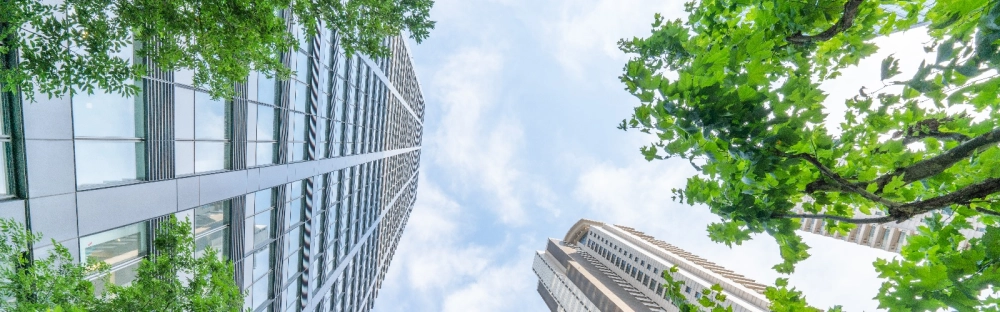 00a718a8fefd-How-will-Basis-Period-Reform-impact-my-business-web.jpg.webp 00a718a8fefd-How-will-Basis-Period-Reform-impact-my-business-web.jpg.webp