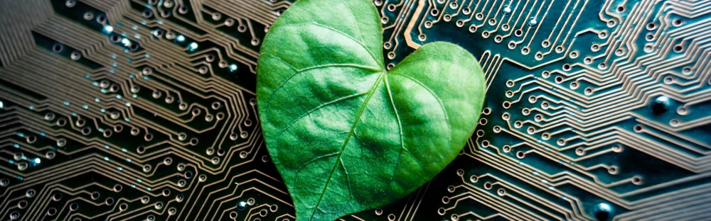 d8fc41e38cb7-Sustainability-header-04.jpg.webp d8fc41e38cb7-Sustainability-header-04.jpg.webp