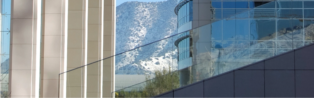 445c5399b4ed-Customs-alert-cover-page.jpg.webp 445c5399b4ed-Customs-alert-cover-page.jpg.webp