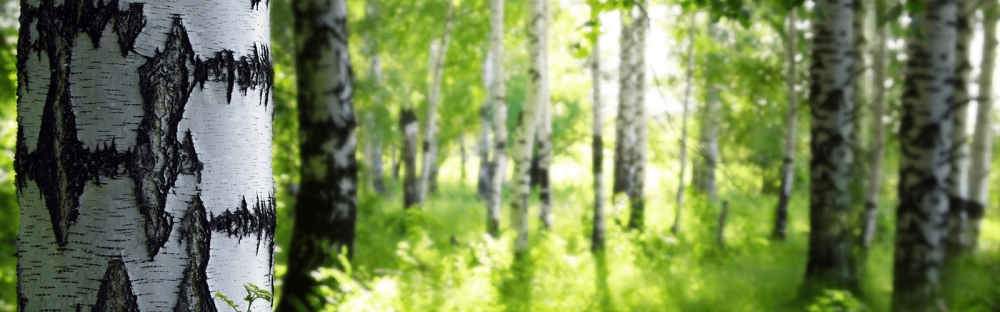 f5f457351495-CSRD-December-2022-update.png.webp f5f457351495-CSRD-December-2022-update.png.webp