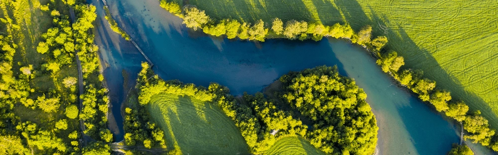 ace101f1c834-ESRS-landing-page.png.webp ace101f1c834-ESRS-landing-page.png.webp