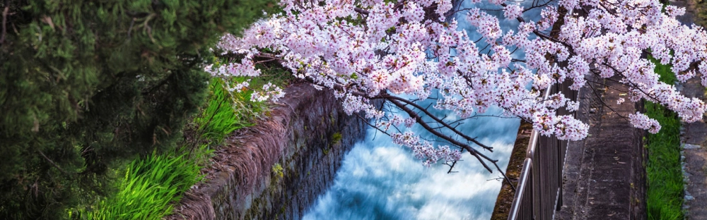 304a3c209e5d-growing-with-purpose.jpg.webp 304a3c209e5d-growing-with-purpose.jpg.webp