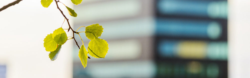 80acbe4714fa-GettyImages-602986215-lores.jpg 80acbe4714fa-GettyImages-602986215-lores.jpg