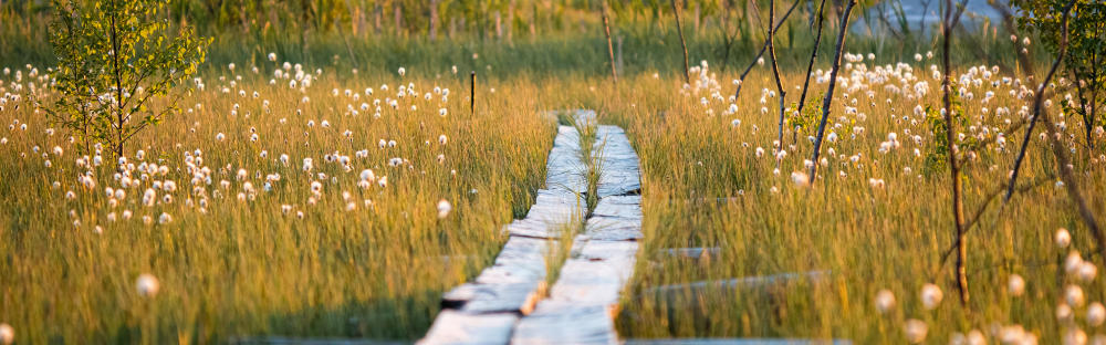 78f5bd156231-8-Foerslag-svensk-implementering-av-EU-direktivet-WEBB.jpg 78f5bd156231-8-Foerslag-svensk-implementering-av-EU-direktivet-WEBB.jpg