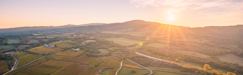 56c11d428361-header-site-WEB-28-.png 56c11d428361-header-site-WEB-28-.png