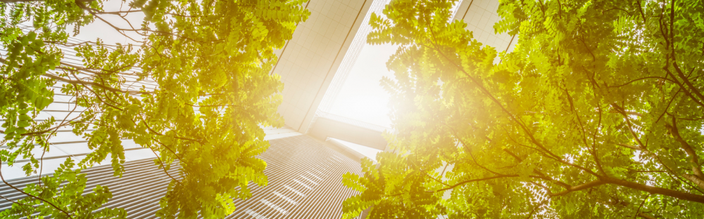 0a6b44900d57-1600x500-Webinar-Etude-Neutralite-Carbone.png 0a6b44900d57-1600x500-Webinar-Etude-Neutralite-Carbone.png