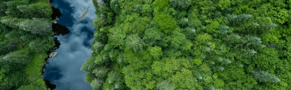 d288f9a15629-1600x500-Webinar-RSE-Toulouse.png d288f9a15629-1600x500-Webinar-RSE-Toulouse.png