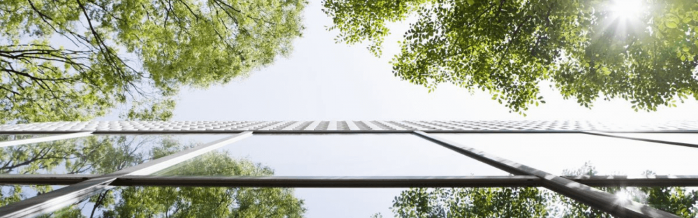 545e386a7cb8-1600x500_webinar-BCE-banque-V2.png 545e386a7cb8-1600x500_webinar-BCE-banque-V2.png