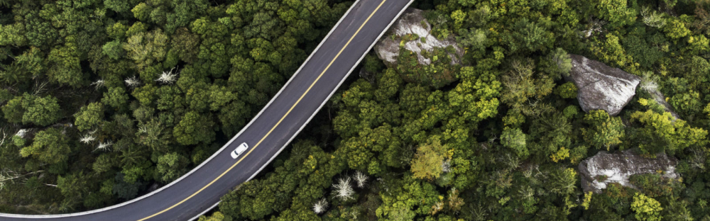 fd985c4a7d40-SAP-1600x500.jpg fd985c4a7d40-SAP-1600x500.jpg