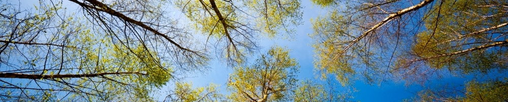 9f3fe610a832-COP-21-1086x202.jpg 9f3fe610a832-COP-21-1086x202.jpg