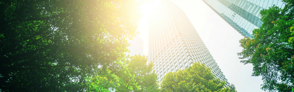 929c72ac08ad-Business-for-good-1600-per-500.jpg.jpg 929c72ac08ad-Business-for-good-1600-per-500.jpg.jpg