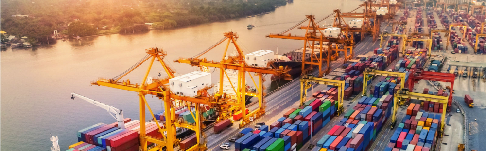 879378a21b94-Transport-and-Logistics-15-1600-per-900px.jpg.jpg 879378a21b94-Transport-and-Logistics-15-1600-per-900px.jpg.jpg