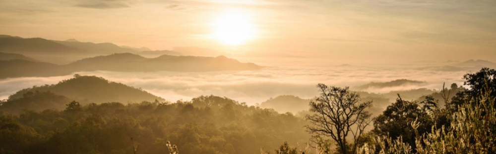 1634ee516756-annual-report.jpg 1634ee516756-annual-report.jpg