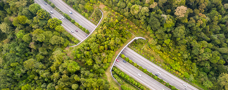 355748fd3b15-EcoVadis_pressrelease_HP.jpg 355748fd3b15-EcoVadis_pressrelease_HP.jpg