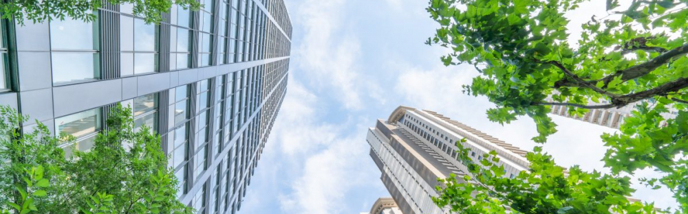 ce733e3ec138-Latest-news-ESG-e-Campus-by-Mazars-Website-Cover-pic.jpg ce733e3ec138-Latest-news-ESG-e-Campus-by-Mazars-Website-Cover-pic.jpg