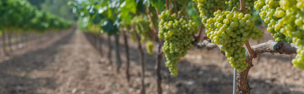 1b1ce10ae7a3-Lidl-socio-ekonomicka-studia-2022_HP.jpg 1b1ce10ae7a3-Lidl-socio-ekonomicka-studia-2022_HP.jpg