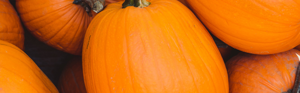 c96e95381de7-Nyhetsbrev-oktober-19-nyhet-3.jpg c96e95381de7-Nyhetsbrev-oktober-19-nyhet-3.jpg