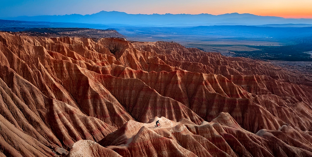 C-Suite-Barometer 2026: Adapting in uncertainty C-Suite-Barometer 2026: Adapting in uncertainty