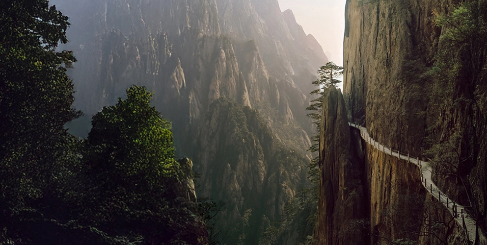 Cyber security in 2026: navigating innovation, regulation and resilience