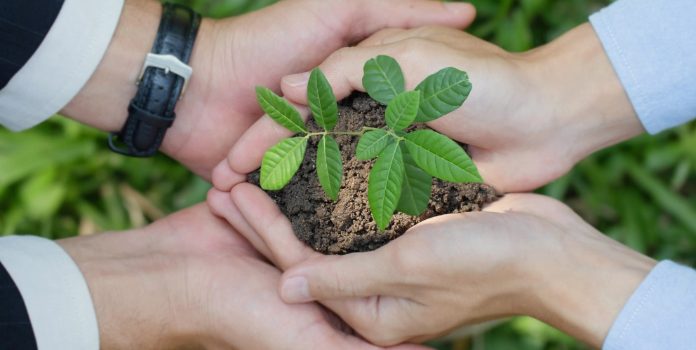 Die Herausforderungen der Nachhaltigkeitsberichterstattung