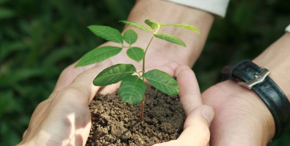 Aktuelle Informationen zur (Nicht-)Umsetzung der CSRD in Österreich