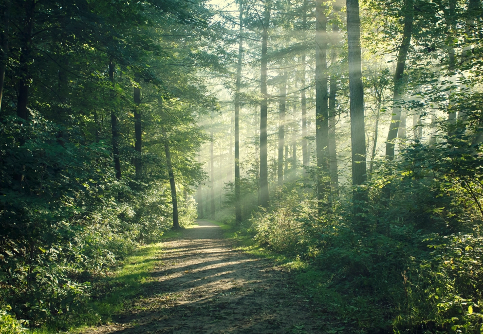 Annual and Sustainability Reports Annual and Sustainability Reports