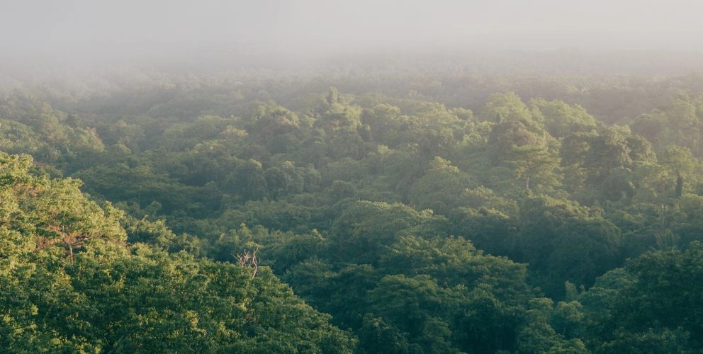 Freiwillig anwendbarer Standard für die Nachhaltigkeitsberichterstattung von KMU