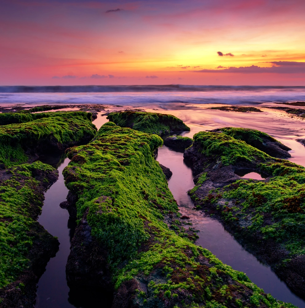 Strategy & Due Diligence