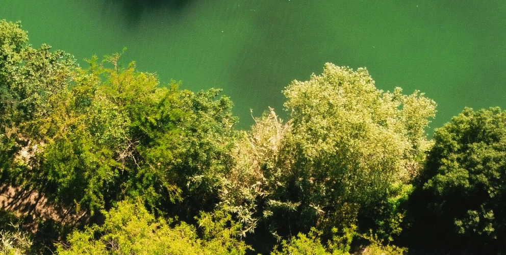 Verschärfung der Regelungen gegen Greenwashing: Vorsicht mit allgemeinen Umweltaussagen