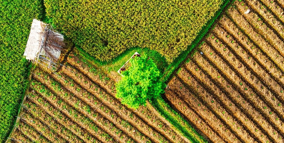 Welche Änderungen in der ESG-Regulatorik bringt der Omnibus?