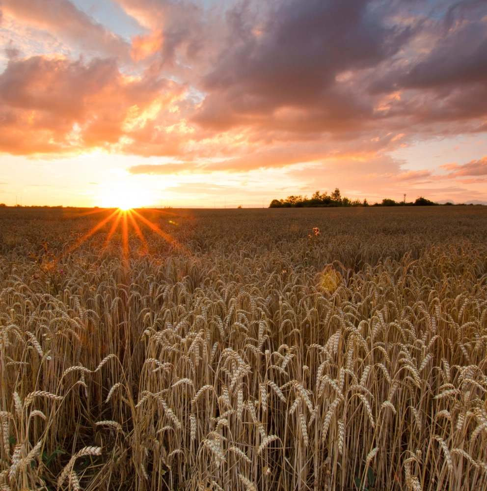 Integration & Transformation