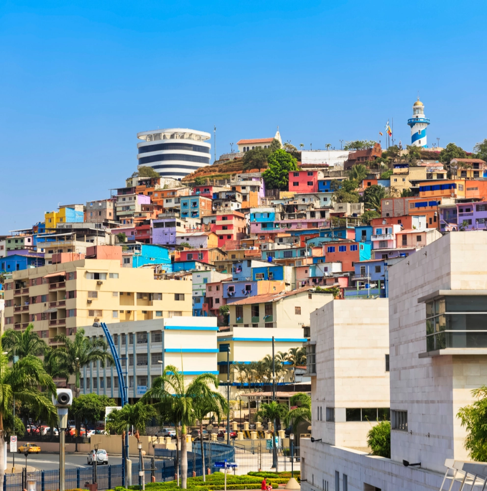 Forvis Mazars in Ecuador: Expanding Our Reach Forvis Mazars in Ecuador: Expanding Our Reach