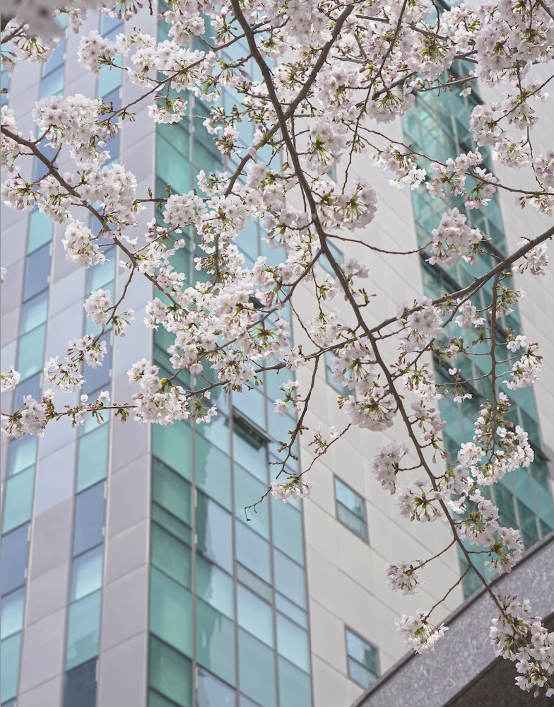 Korean insights & regulatory updates - issue 15: April 2025 Korean insights & regulatory updates - issue 15: April 2025