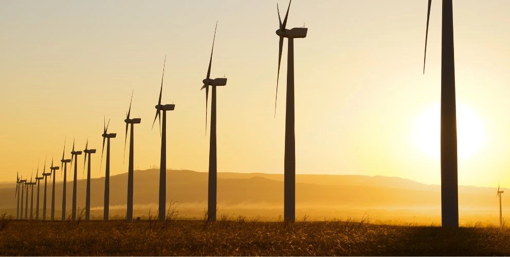 Entwurf des Nachhaltigkeitsberichtsgesetzes (NaBeG) veröffentlicht