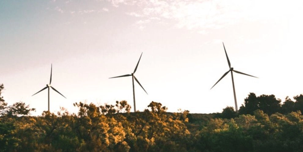 Updates zu Neuerungen in der ESG-Regulatorik auf der ganzen Welt: