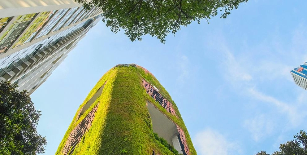 No-Regret-Moves: Worauf können sich Unternehmen trotz unklarer Rechtslage hinsichtlich CSRD-Berichterstattung jetzt fokussieren?