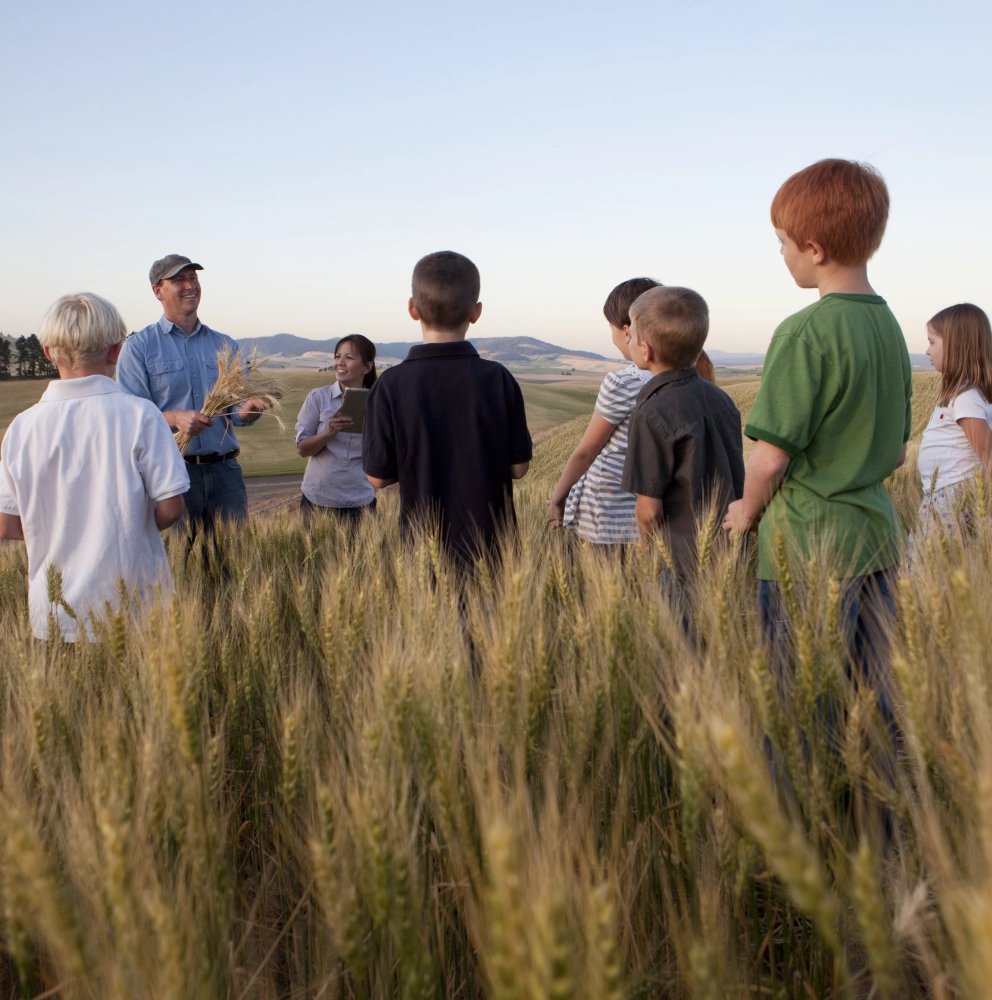 Generational Transition Generational Transition