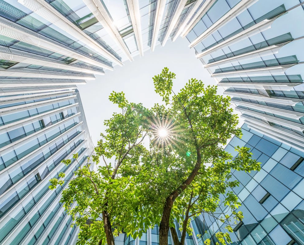 ESG: changer pour rester performant  Huit points clés à retenir